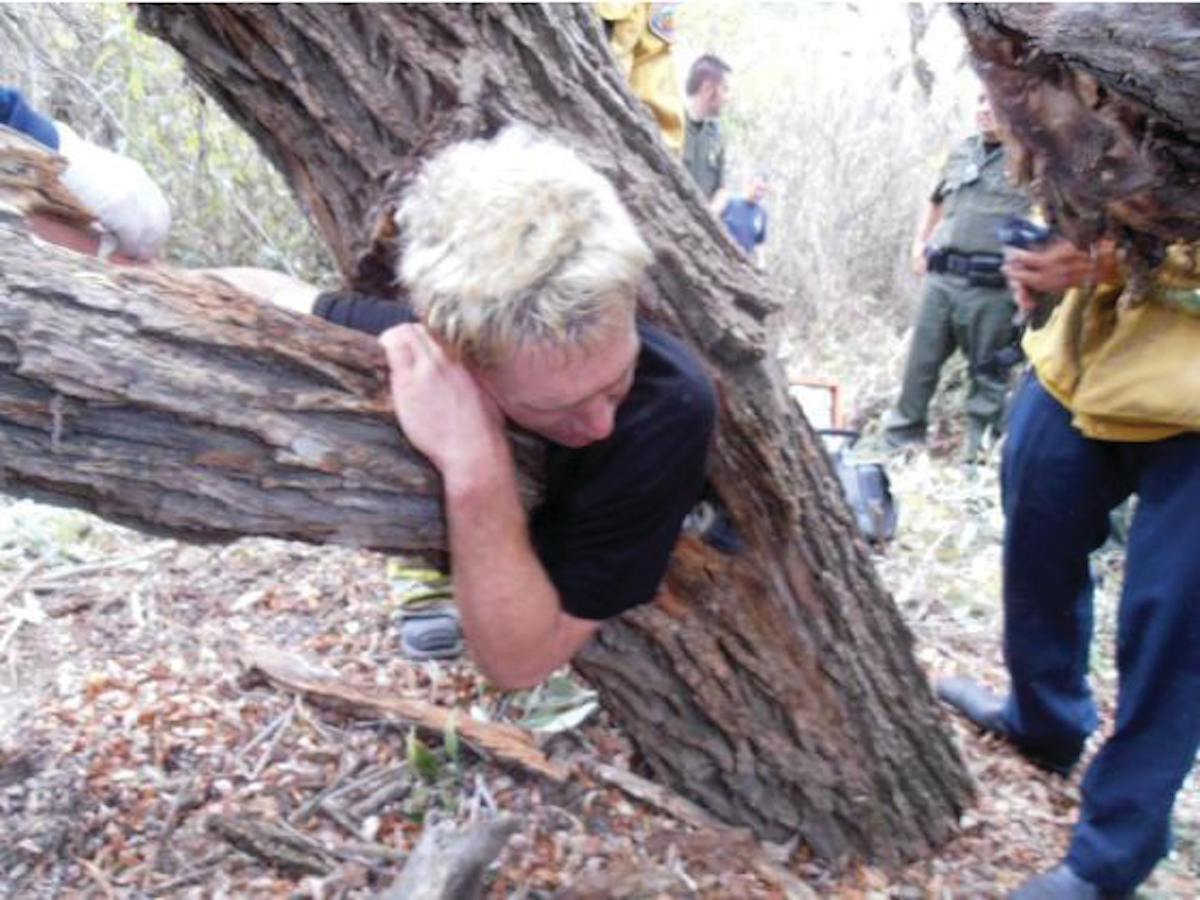 Calif Crews Free Man Trapped In Hollow Tree Firehouse