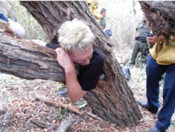 It took firefighters about 90 minutes to cut through the branches of the tree to free the man.