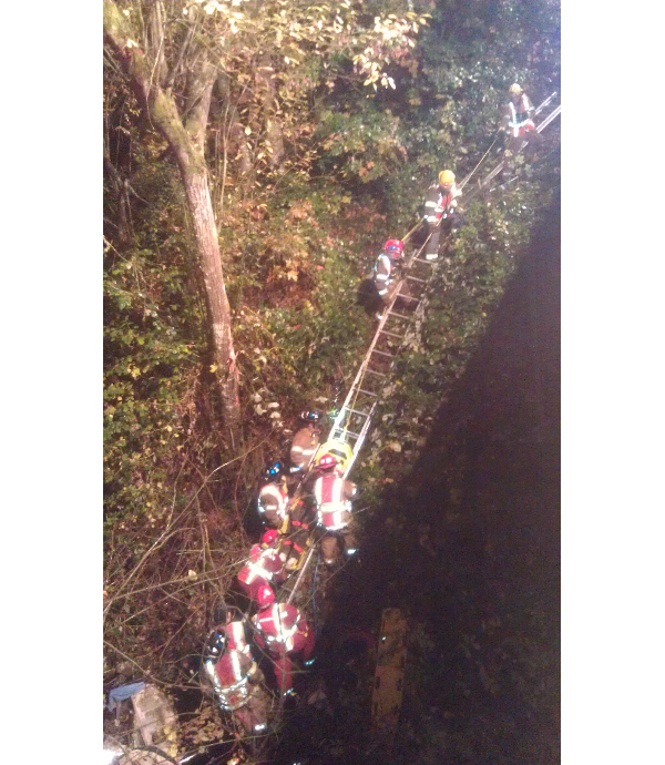 Willamette Valley 10546834