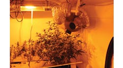 Fire hazards at indoor marijuana growing operations include exposed live wires, wire bundles, wires exposed to water or in contact with water and large number of high-intensity light bulbs. Some grows also will use extra exhaust fans, which can spread fire in such a location.