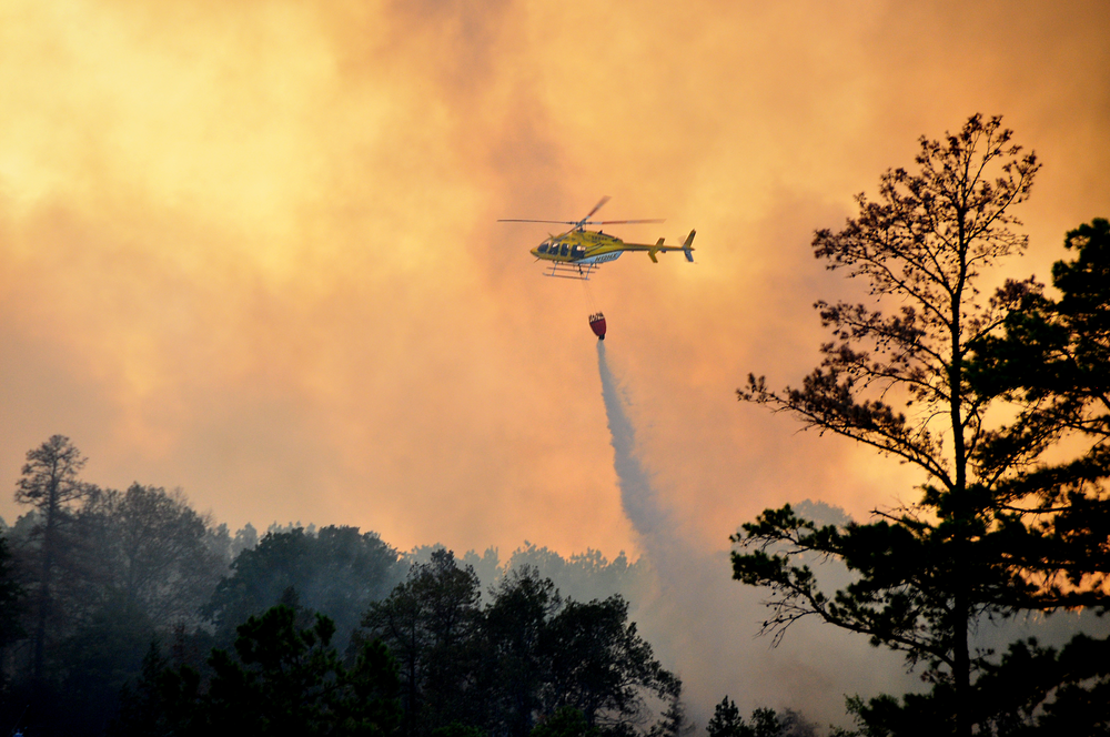 Texaswildfires 10454597