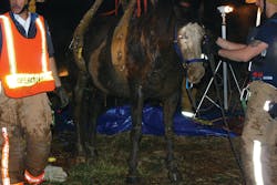 The ability to stand or walk is not an indication that a horse is &apos;OK.&apos; This horse was pronounced &apos;fine&apos; after being rescued, but was found dead the next day. Hypothermia in a horse is a serious condition that must be managed in a timely and appropriate manner.