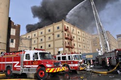 122211 Elizabeth 1 Addie jpg 10574632 122211 Elizabeth 1 Addie jpg 10574632