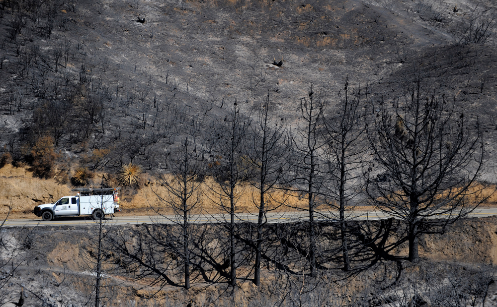 A truck drives past burned trees in the Angeles National Forest on Sept. 17, 2009.