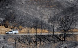 A truck drives past burned trees in the Angeles National Forest on Sept. 17, 2009. A truck drives past burned trees in the Angeles National Forest on Sept. 17, 2009.