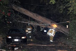 Los Angeles City firefighters look over a eucalyptus tree that fell on a house and knocked down power lines. Los Angeles City firefighters look over a eucalyptus tree that fell on a house and knocked down power lines.