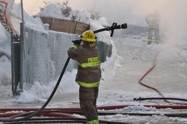 012312 Steanne3 10617435