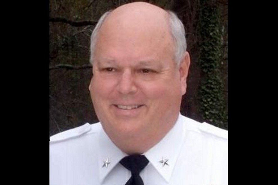 Scloddlarge 10611713