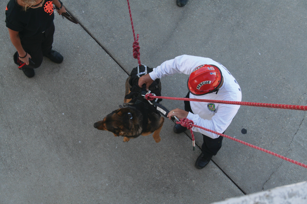 The line the rigger is handling is the top safety line, the center line is the main haul line and the line at center is the tag line.