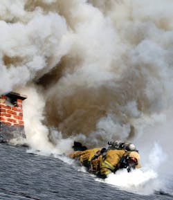 Img 6573 2 10683981 Img 6573 2 10683981