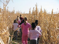 Cornmaze 512 Frontpageofarticl 10687700 Cornmaze 512 Frontpageofarticl 10687700