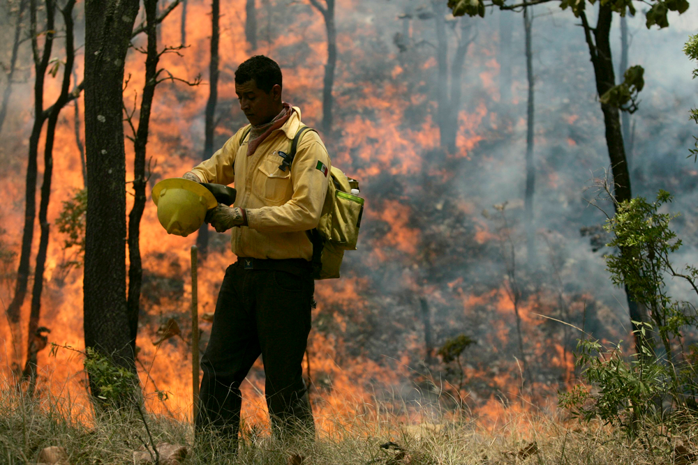 Mexicowildfire 10705239