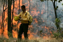 Mexicowildfire 10705239 Mexicowildfire 10705239