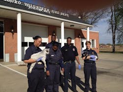 Pggoats 10689703 Pggoats 10689703