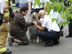 Coonrapidsfiredogrescue2 10723440 Coonrapidsfiredogrescue2 10723440