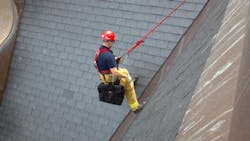 Milwaukeegullrescue 10709173 Milwaukeegullrescue 10709173