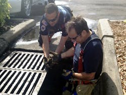 St. Petersburg firefighters rescued a family of ducklings trapped in a storm drain on May 3.