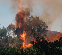 The adoption of new technologies, including thermal imaging, is helping firefighters facing the challenges of wildland fires. The adoption of new technologies, including thermal imaging, is helping firefighters facing the challenges of wildland fires.