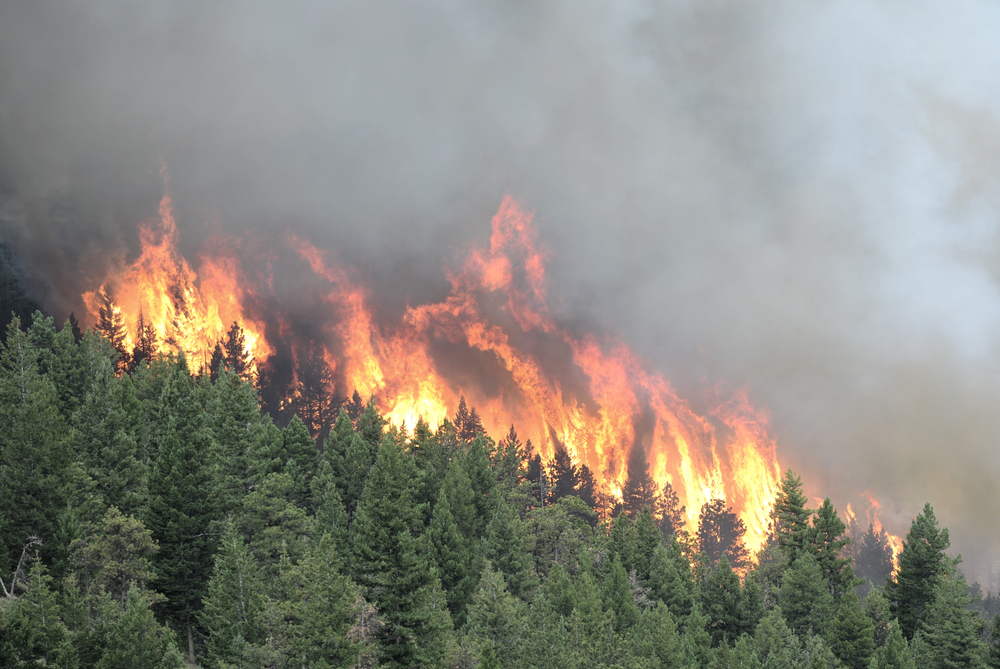 A view of the Flagstaff fire west of Boulder, Colo. on June 26.