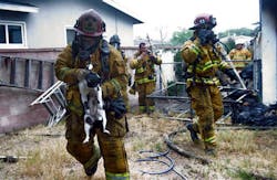 Garden Grove Fire Department Captain Albert Acosta, left, struggles with a cat that was rescued from a fire on June 21.