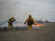 Firefighter Rose Grier (CAL FIRE San Diego Unit - Lyons Valley Fire Station) puts out a wildland fire in a scene from &apos;Lives on Fire&apos; on OWN.