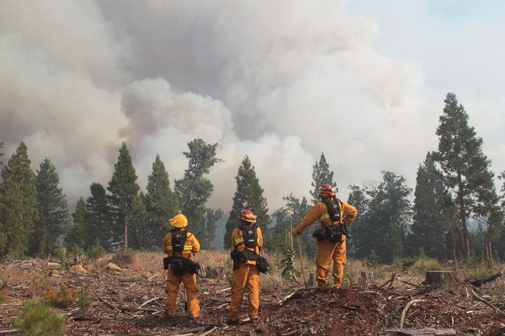 Firefighters monitor the Ponderosa Fire from Rock Creek Road near Viola, Calif. on Aug. 19.