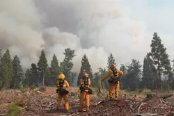 Firefighters monitor the Ponderosa Fire from Rock Creek Road near Viola, Calif. on Aug. 19. Firefighters monitor the Ponderosa Fire from Rock Creek Road near Viola, Calif. on Aug. 19.