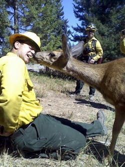 A group of Eastside firefighters battling the Taylor Bridge Fire came in contact with a doe who was nursing but without food because her feeding ground was destroyed. A group of Eastside firefighters battling the Taylor Bridge Fire came in contact with a doe who was nursing but without food because her feeding ground was destroyed.