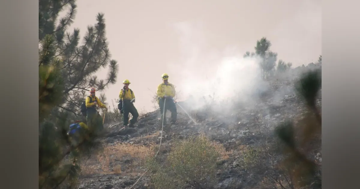 Three Hotshot Firefighters Struck by Rolling Log While Battling Trinity ...