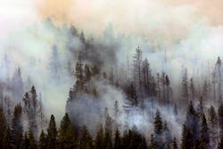 The Pole Creek Fire is seen burning on a slope southwest of Sisters, Ore. on Sept. 10. The Pole Creek Fire is seen burning on a slope southwest of Sisters, Ore. on Sept. 10.