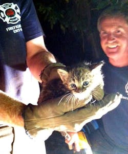 It took Portland firefighters close to six hours to rescue a kitten who ended up trapped in a basement pipe on Sept. 16. It took Portland firefighters close to six hours to rescue a kitten who ended up trapped in a basement pipe on Sept. 16.