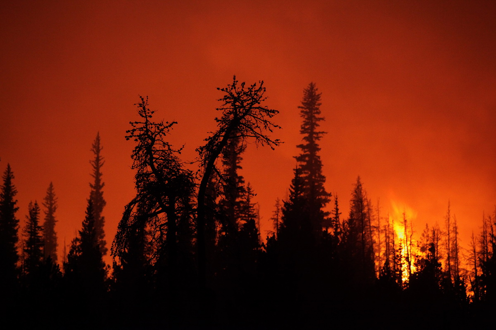 A burnout is seen near Three Creek Meadow that was set to strengthen containment lines at the Pole Creek Fire near Sisters, Ore.