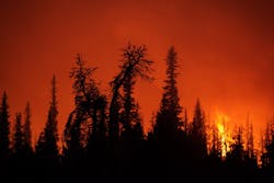 A burnout is seen near Three Creek Meadow that was set to strengthen containment lines at the Pole Creek Fire near Sisters, Ore. A burnout is seen near Three Creek Meadow that was set to strengthen containment lines at the Pole Creek Fire near Sisters, Ore.