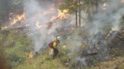 A firefighter is seen lighting a back burn at the Sheep Fire in the Nez Perce National Forest on Sept. 16.