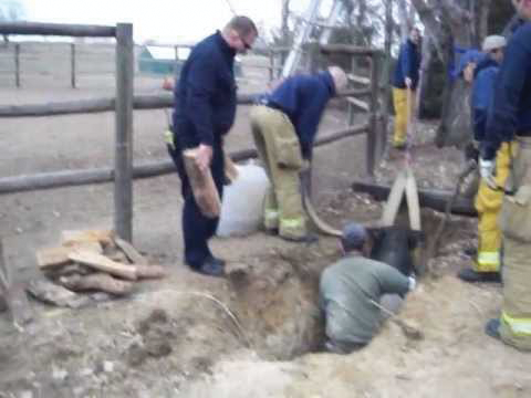Colo. Firefighters Rescue Massive Pig From Hole | Firehouse