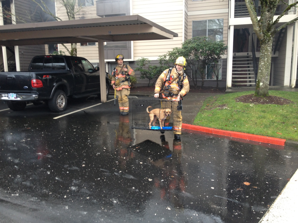 Clackamas Apartment Firehouse 10843044