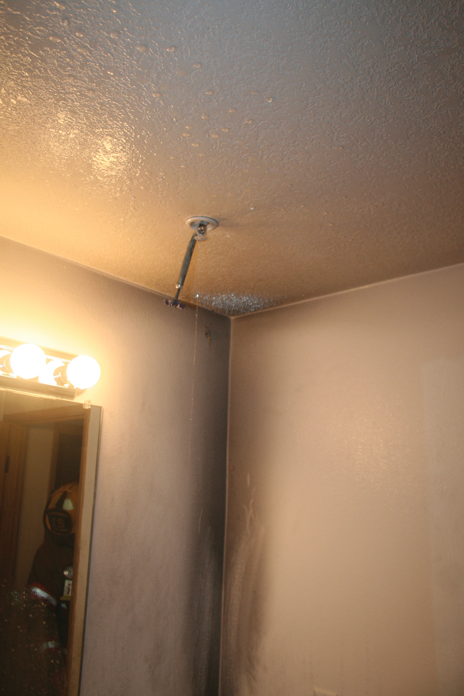 Fire Sprinkler Firefighter 10841425