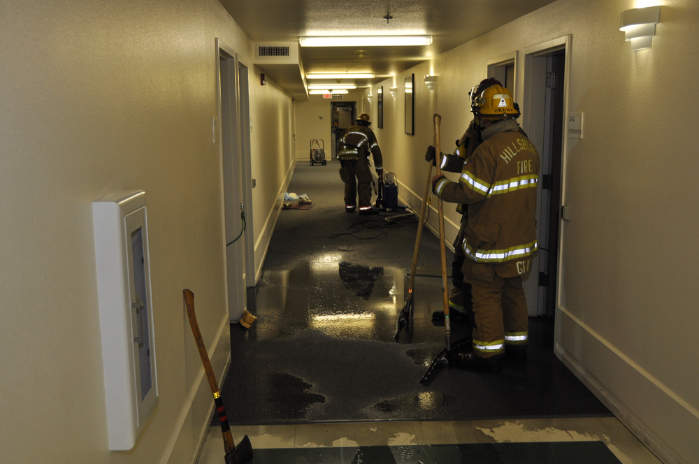 Wheelchair Blamed Apartment Fi 10846485