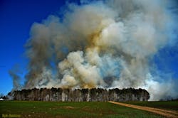 Wilson County Live Contolled B 10876984 Wilson County Live Contolled B 10876984