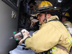 Fla Puppies 10893286 Fla Puppies 10893286