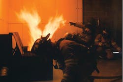 One way that firefighters and officers can gain trust and respect from others in the station is by sharing lessons with others. One way that firefighters and officers can gain trust and respect from others in the station is by sharing lessons with others.