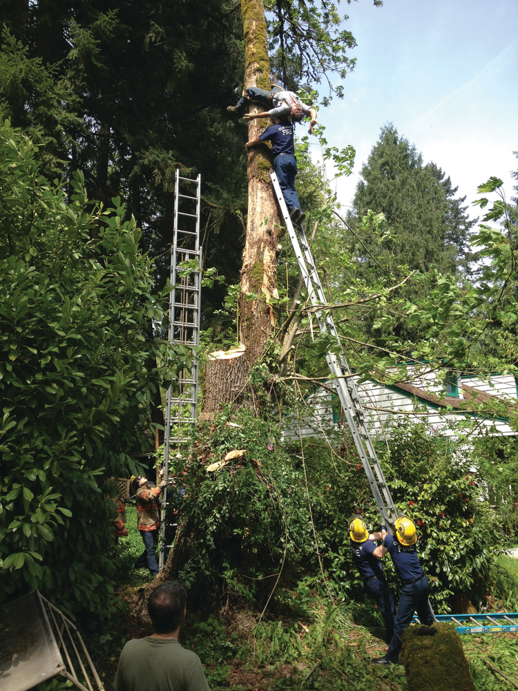 A 35-foot ladder is raised to assist in the rescue of a tree worker who was trapped about 25 feet in the air after he lost his footing in Clackamas County, OR. See cover story inside for more information.