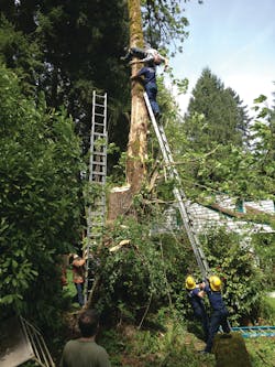 A 35-foot ladder is raised to assist in the rescue of a tree worker who was trapped about 25 feet in the air after he lost his footing in Clackamas County, OR. See cover story inside for more information. A 35-foot ladder is raised to assist in the rescue of a tree worker who was trapped about 25 feet in the air after he lost his footing in Clackamas County, OR. See cover story inside for more information.