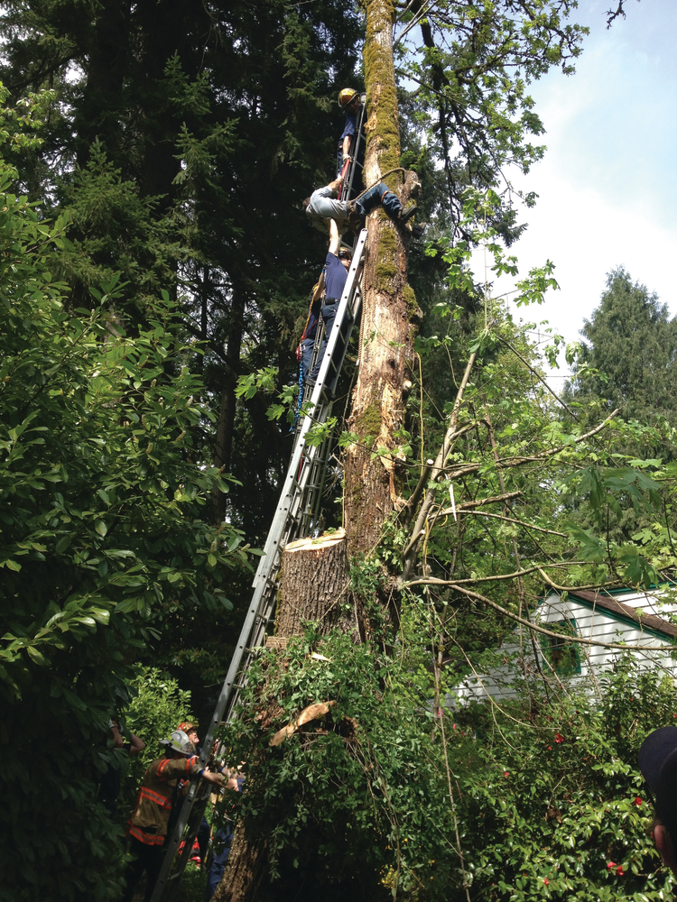 This image can be cropped tight: A firefighter uses section of webbing to assist victim to an upright position.