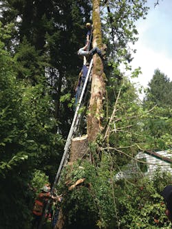 This image can be cropped tight: A firefighter uses section of webbing to assist victim to an upright position. This image can be cropped tight: A firefighter uses section of webbing to assist victim to an upright position.