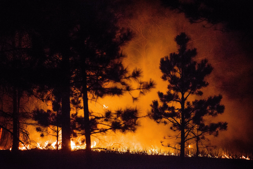 Wildfires in Colorado have destroyed nearly 400 houses.
