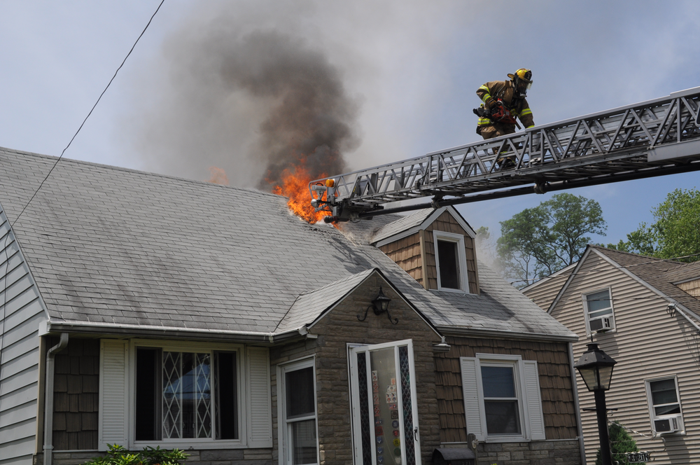 Woodbridge 321 Grady Dr 27 10959481