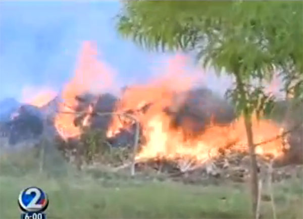 Honolulu Firefighters Battle Brush Fire in Haleiwa | Firehouse