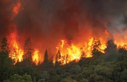 Rim6 11131658 Rim6 11131658