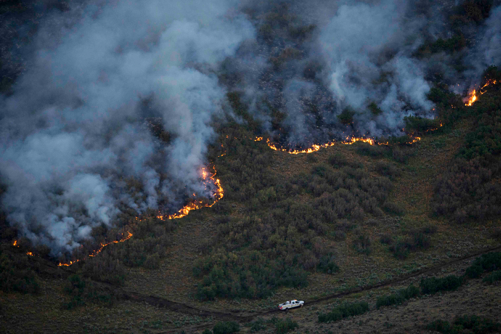 Rockport Wildfire 6 11118532